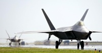 Raptors before take off